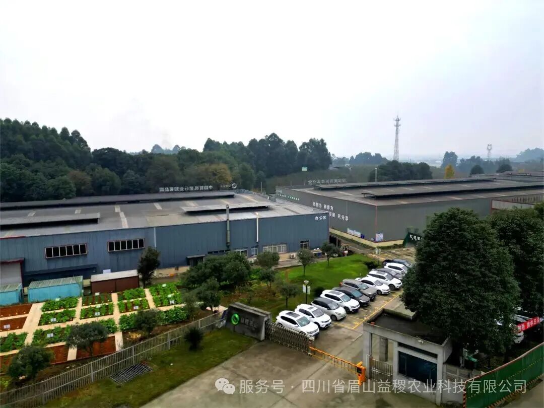 公司正面.JPG