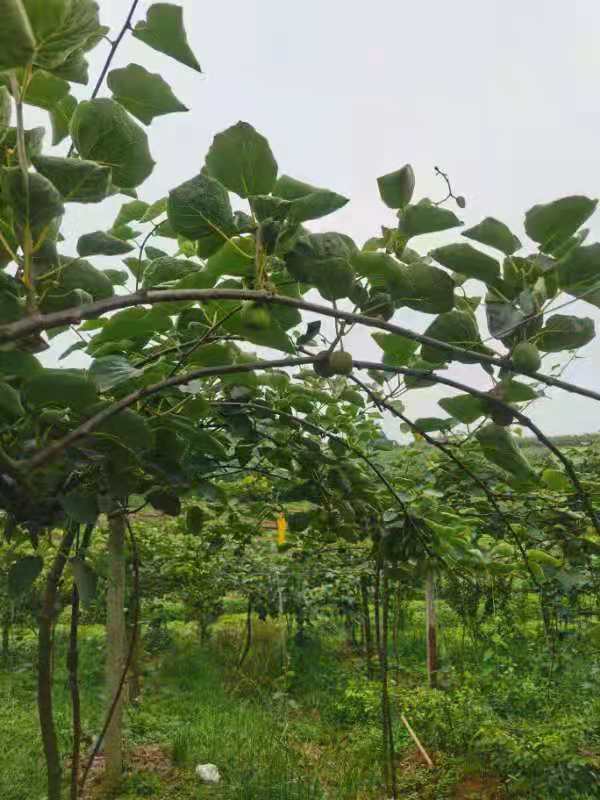微信图片_20210528093432.jpg