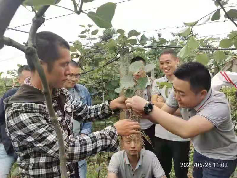 微信图片_20210528093428.jpg