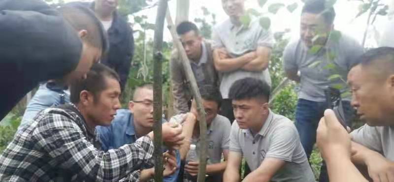 微信图片_20210528093519.jpg
